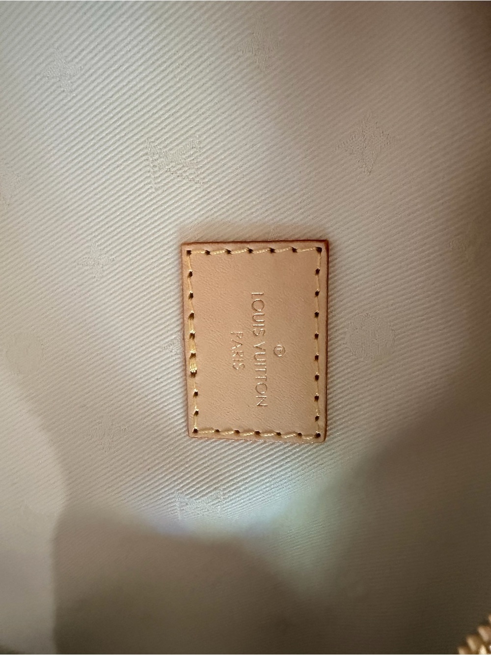 Louis Vuitton High Rise bumbag Monogram Canvas with Crossbody Adjustable Strap - Picture 9 of 10